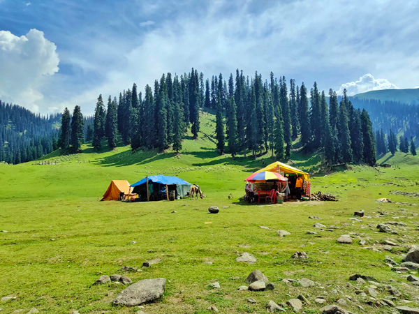 Offbeat places in Kashmir - Daksum Valley